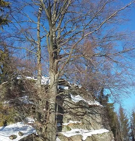 Apartment Silence Wichrowe Wzgorze *