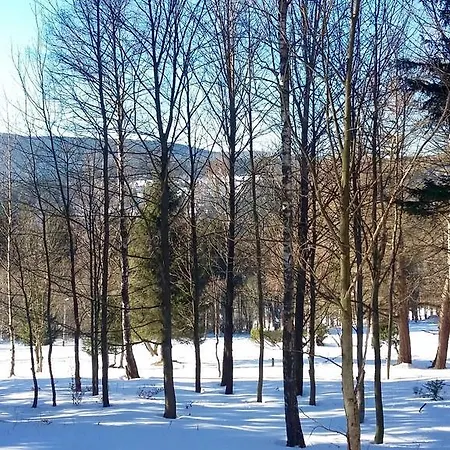 Lejlighed Silence Wichrowe Wzgorze Szklarska Poręba