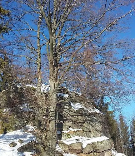 Apartment Silence Wichrowe Wzgorze *