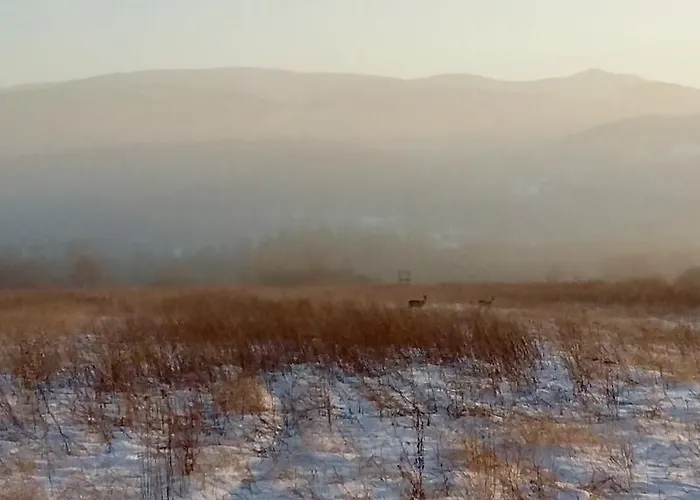 Silence Wichrowe Wzgorze Szklarska Poreba